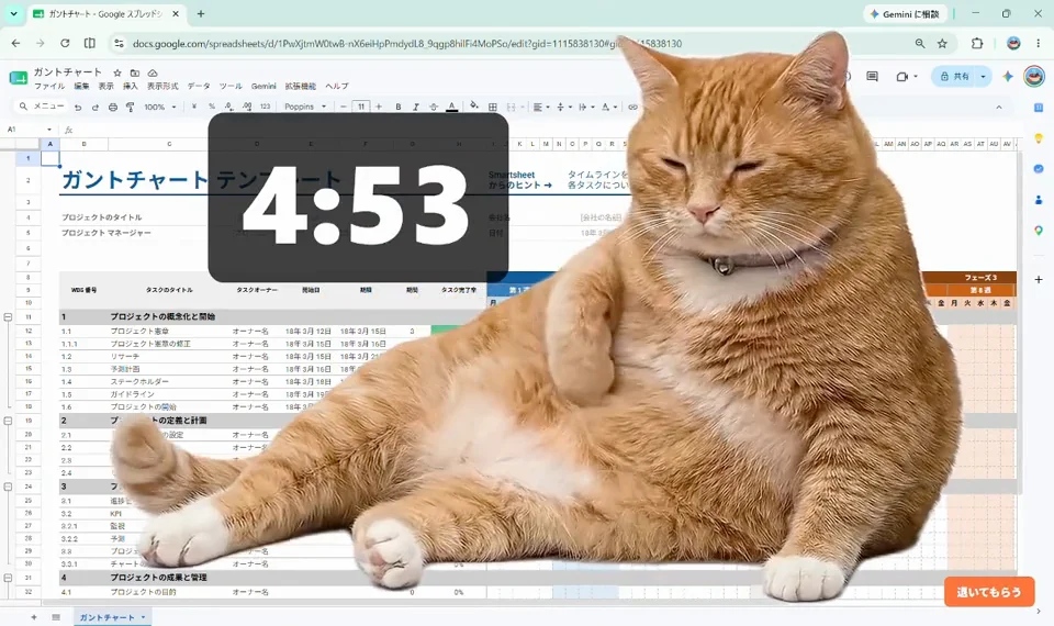 A cat on the screen during a break countdown