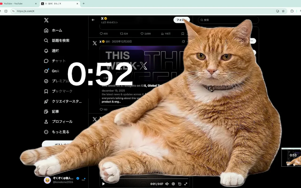 Cat Gatekeeper preview with a cat appearing on the screen