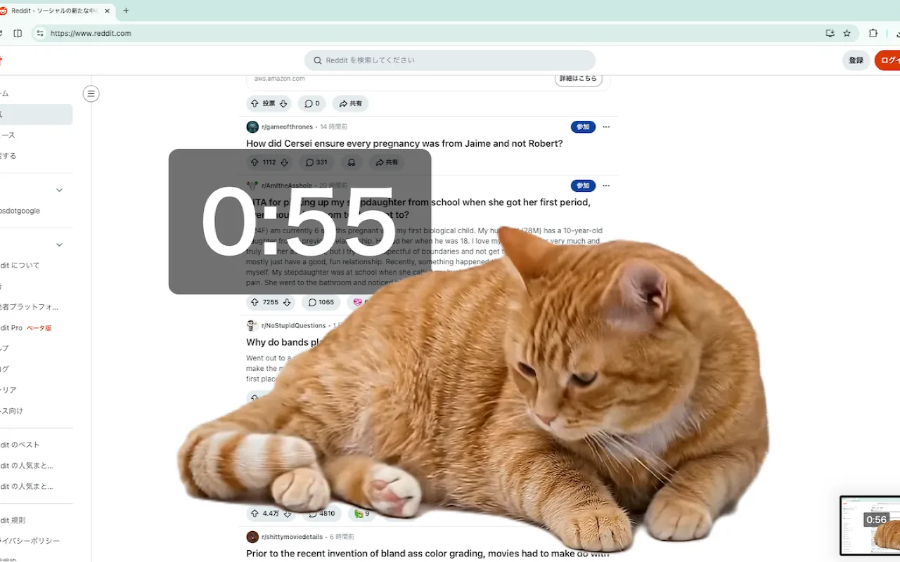 Cat Gatekeeper preview with a cat lying across the screen