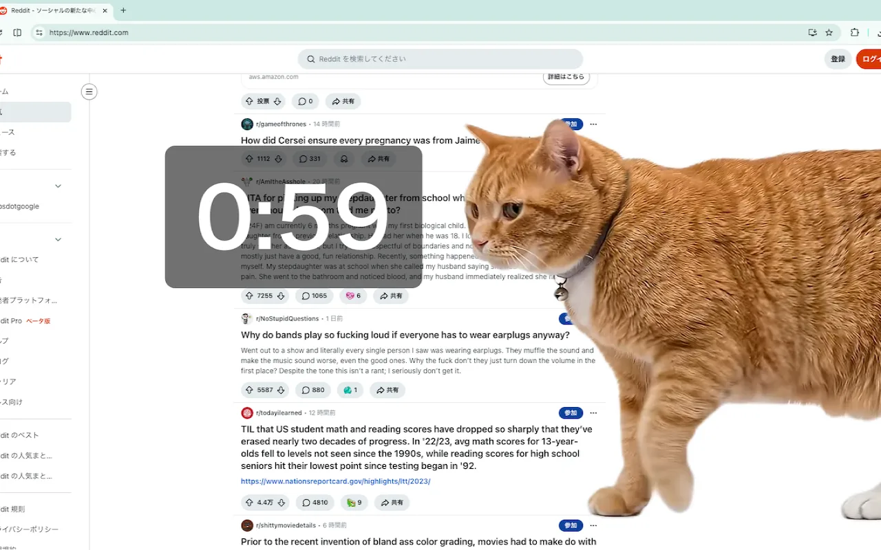 Cat Gatekeeper settings screen preview